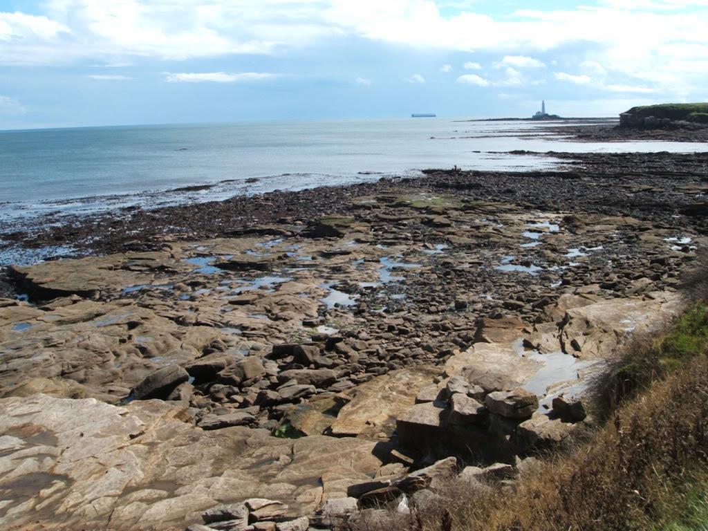 Lighthouse Guest House Whitley Bay Dış mekan fotoğraf